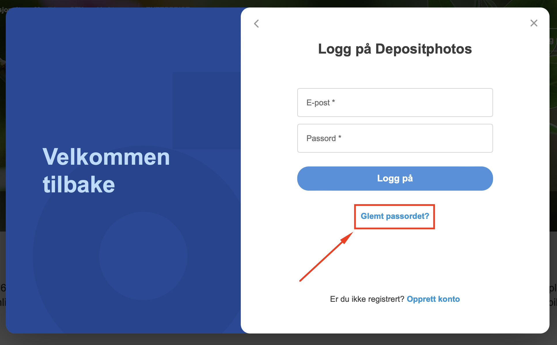 Screenshot at Aug 02 17-31-09.png